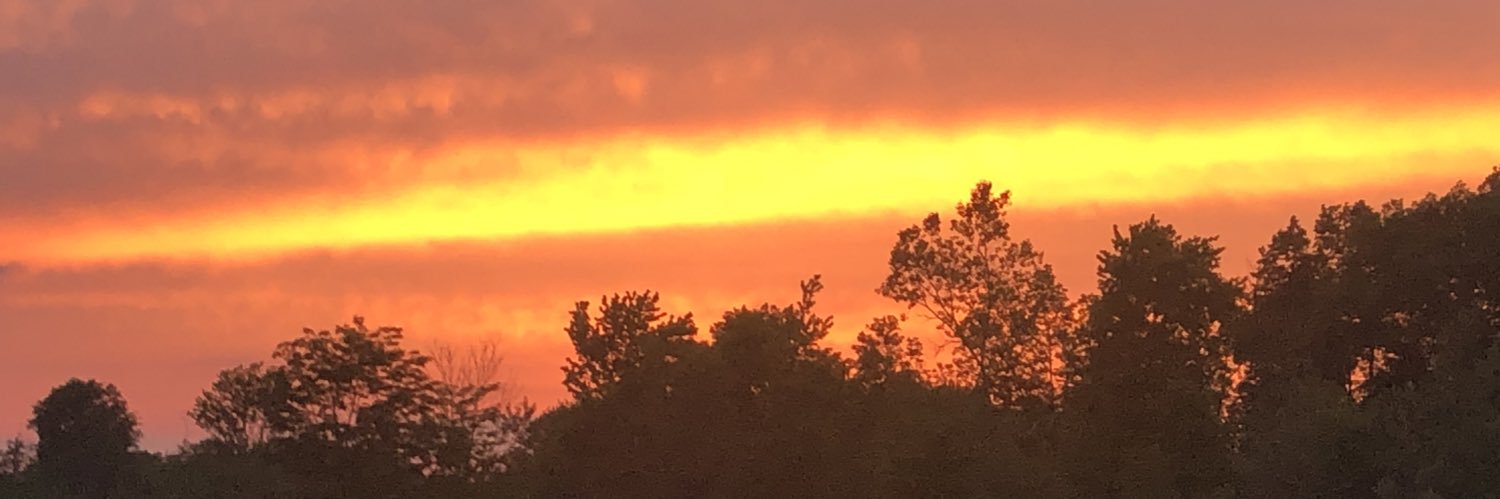 MarieJess17's profile banner image