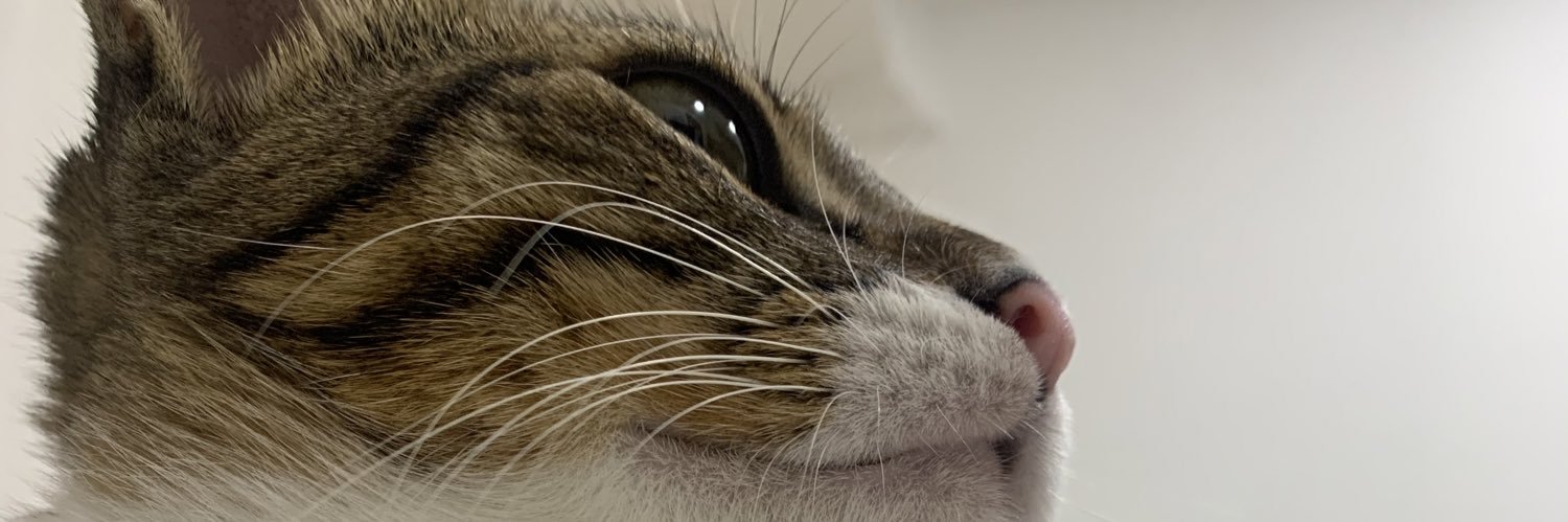 PaulaBravor's profile banner image