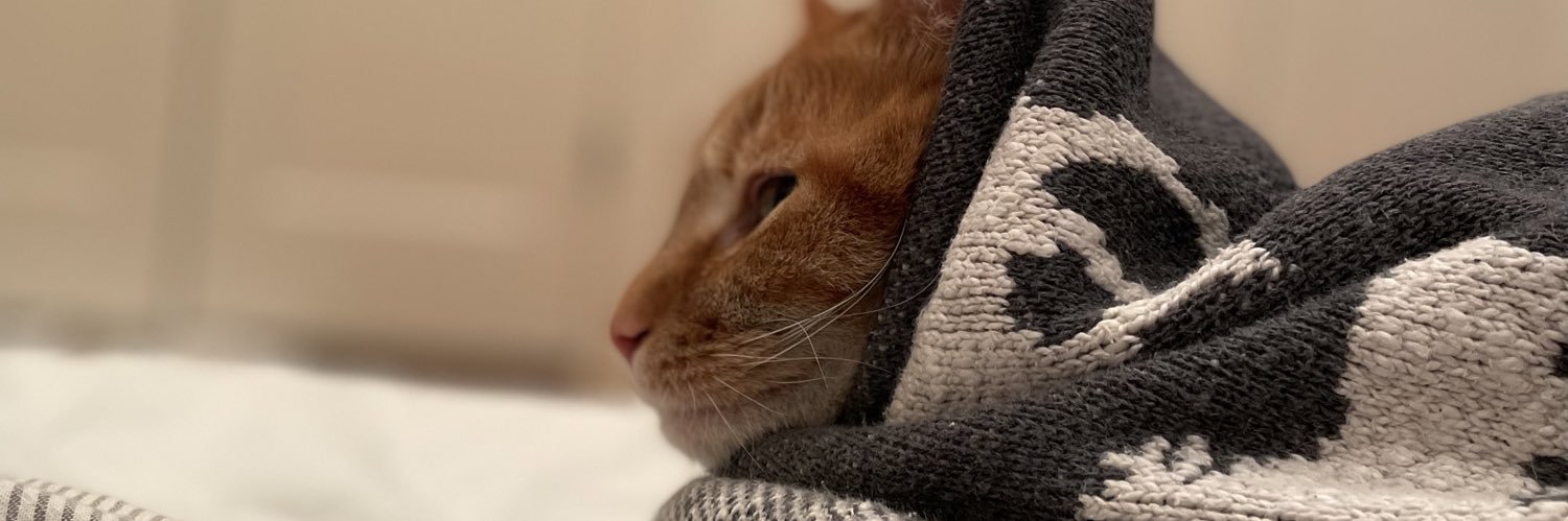 Siunamii's profile banner image