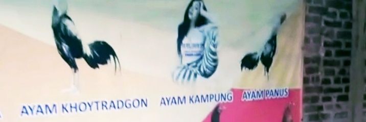 LEWI (LerengWilis) banner