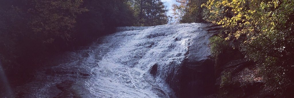 MsBeckham's profile banner image