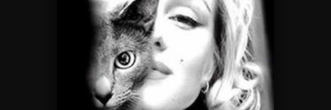 Shelle_Young's profile banner image