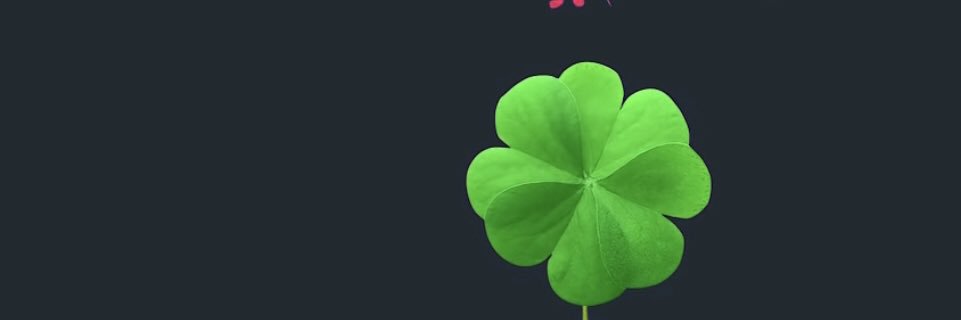 rykrdg's profile banner image