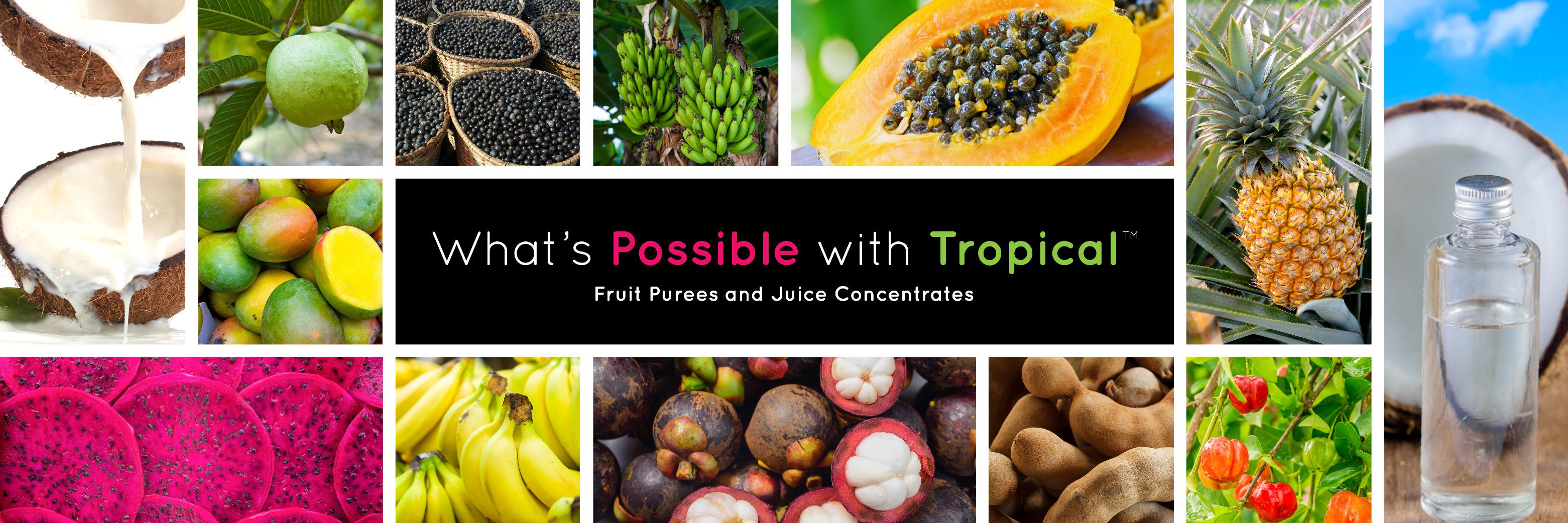 iTiTropicals's profile banner image