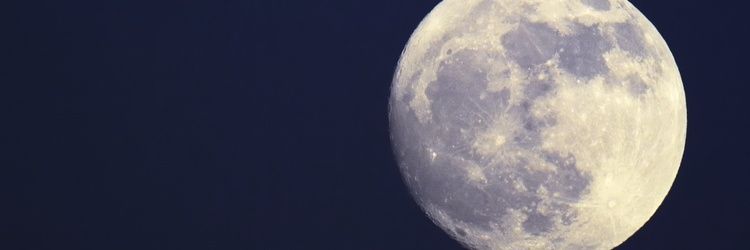 Gordon MacKenzie ♏ banner