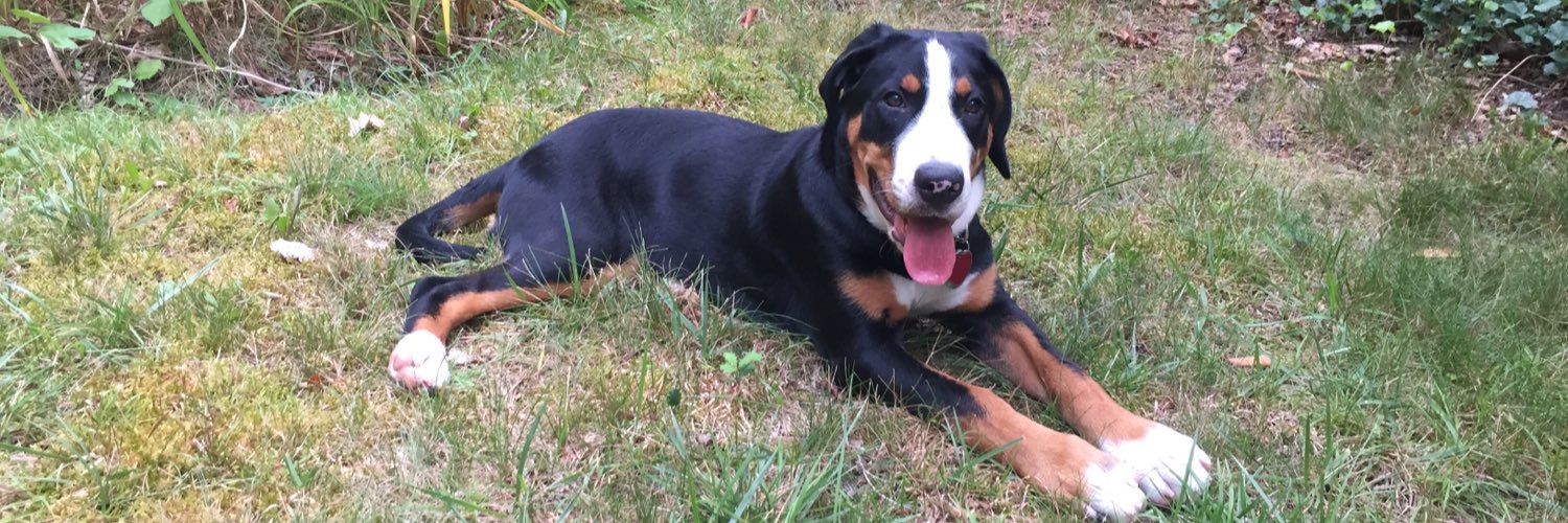 Katherine Schneeberger McGugan banner