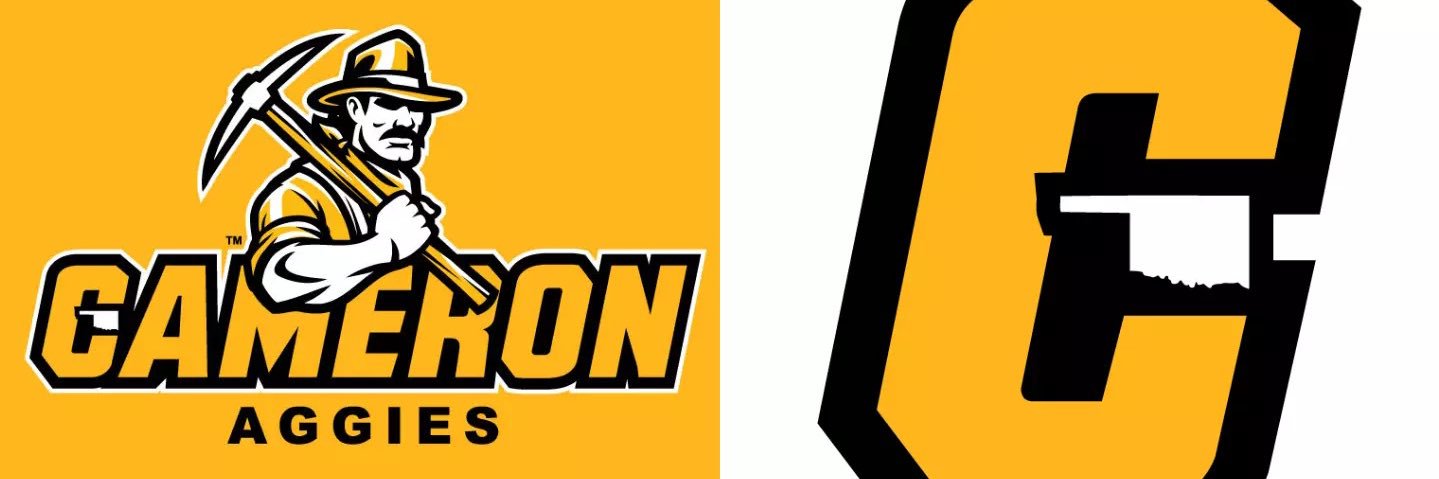 Cameron Volleyball's banner