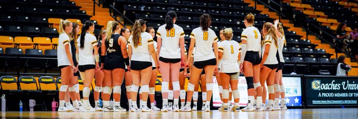 Cameron Volleyball banner