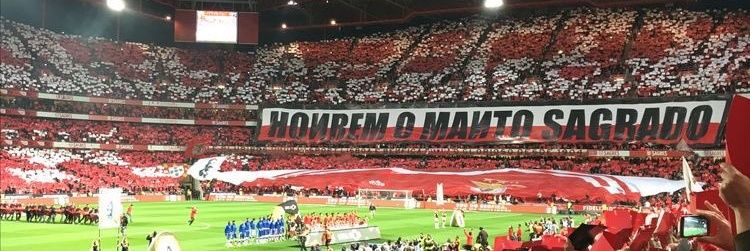 Tommy 🦅 banner