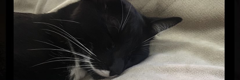 Errrandi's profile banner image