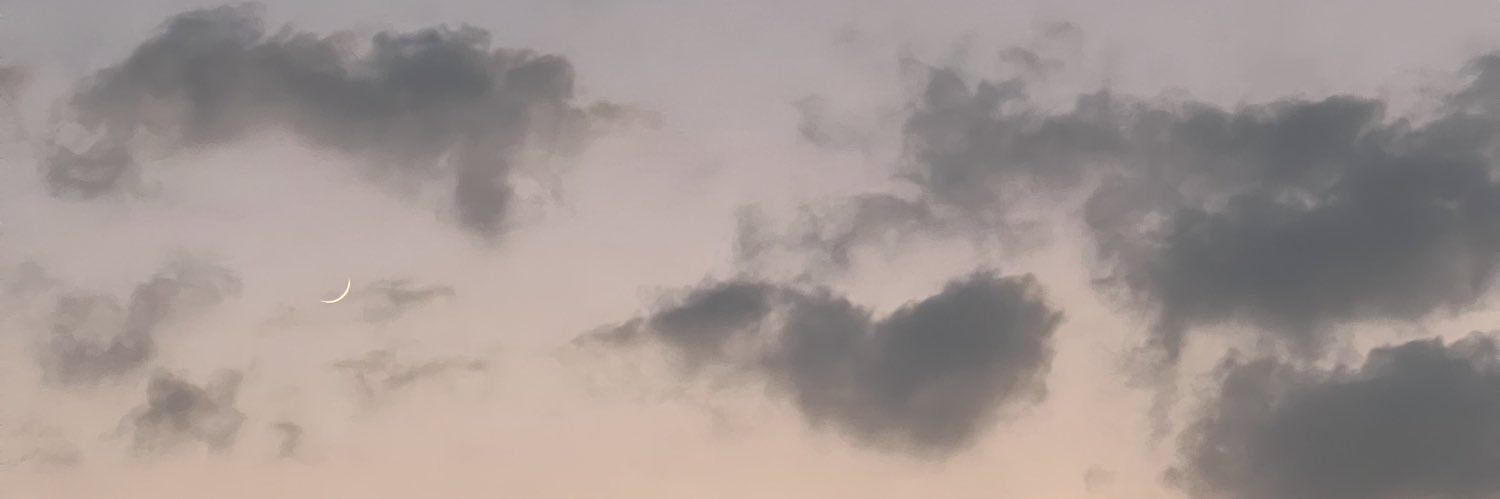 LisaPonsaers's profile banner image
