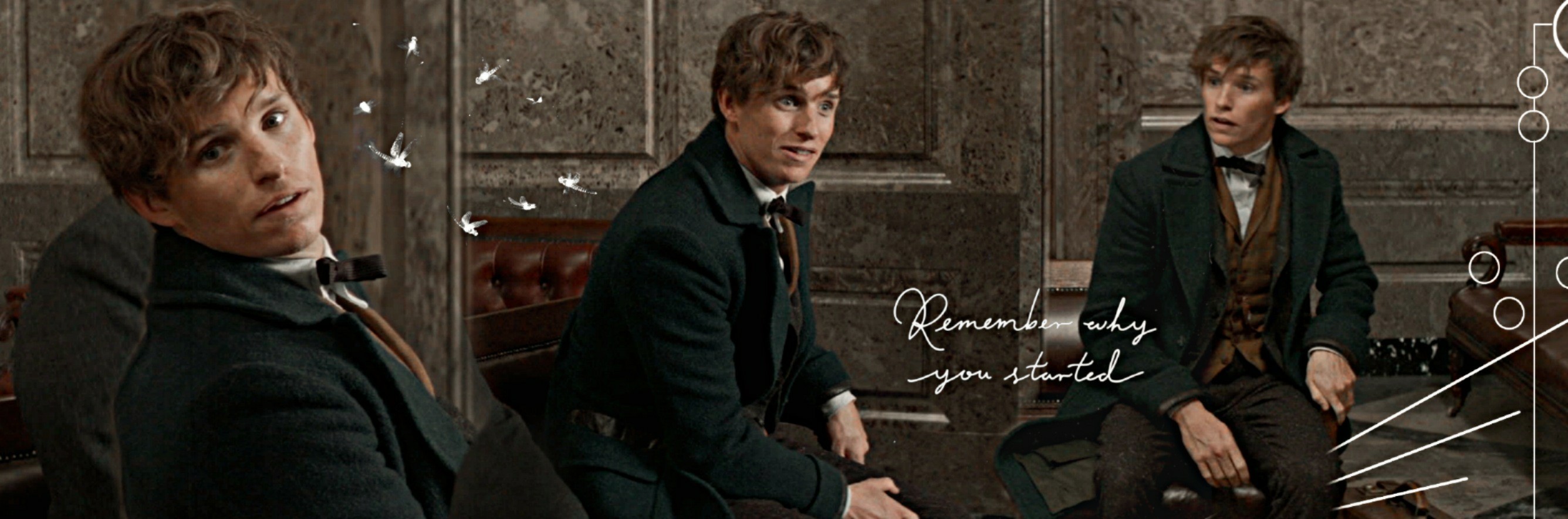 puraintentio's profile banner image