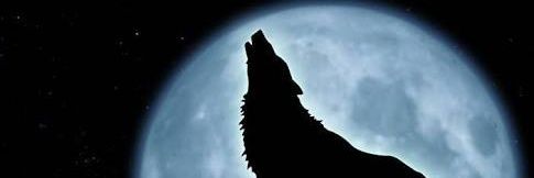 javier_yhe's profile banner image