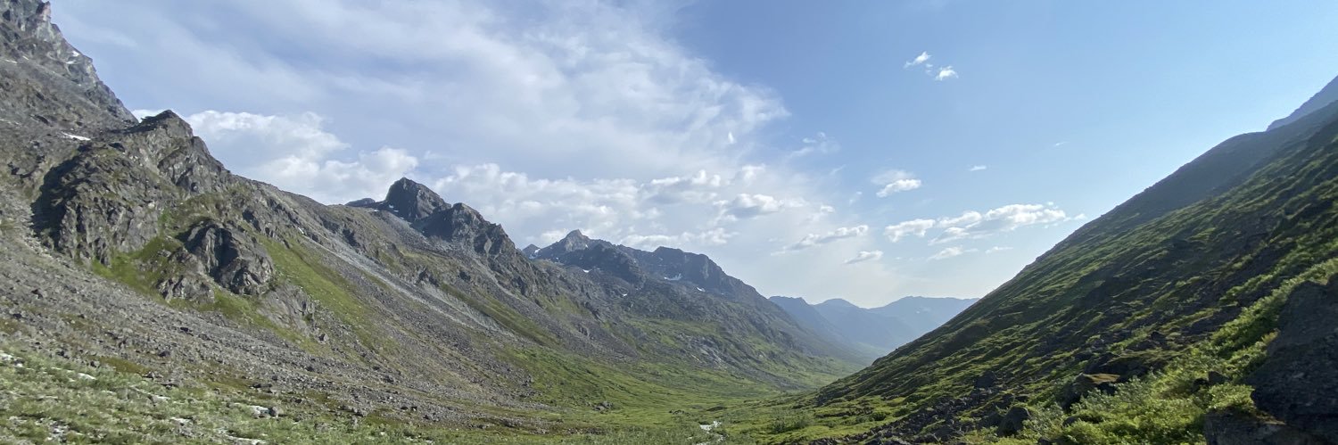 FlyerOstrich's profile banner image
