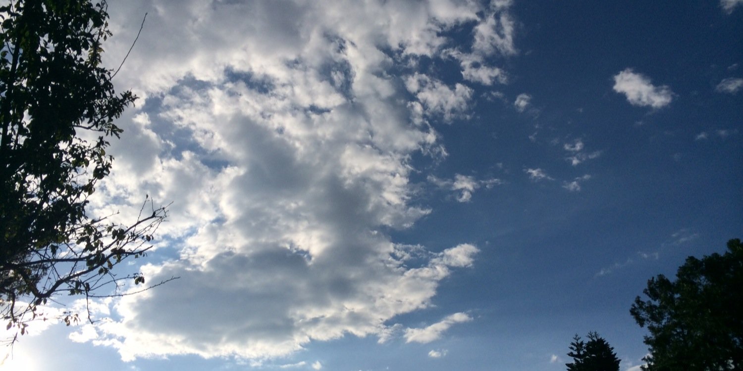 aritaml's profile banner image