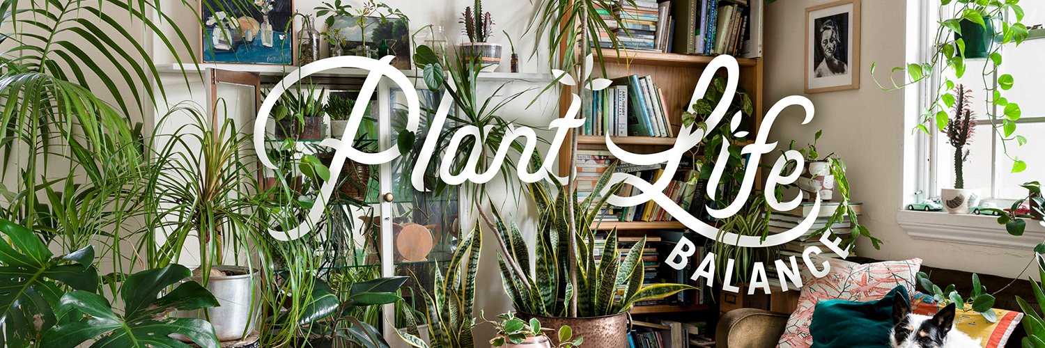 Plant/Life Balance banner