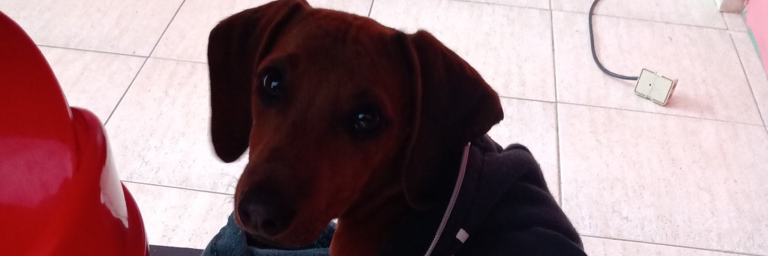 domimarrito's profile banner image