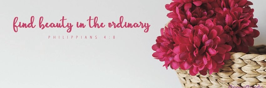 AprilMohrmann's profile banner image