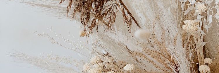 cecimontanom's profile banner image