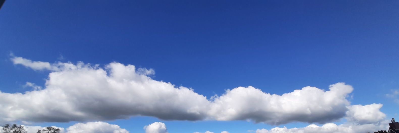 𝑨𝒍𝒆𝒙𝒂𝒏𝒅𝒆𝒓 𝒗𝒂𝒏 𝑵𝒆𝒕𝒕𝒆𝒏 ©️ banner