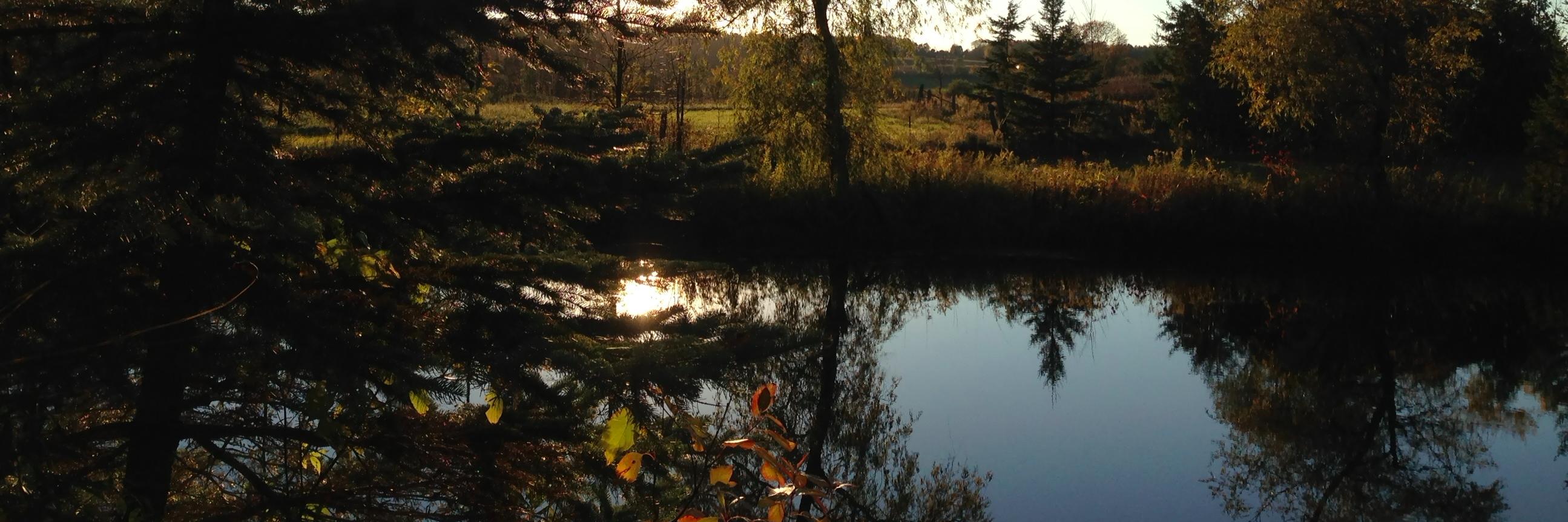 Amanda Margison banner