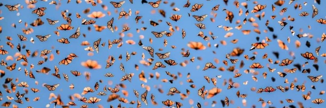 Danger Public banner