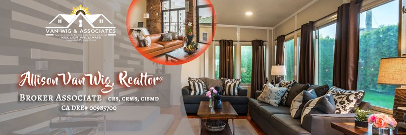 Allison Van Wig banner