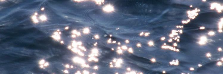 444ku4's profile banner image