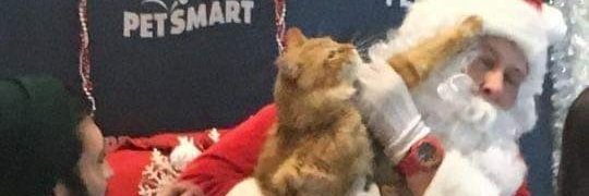 milebarbeito's profile banner image