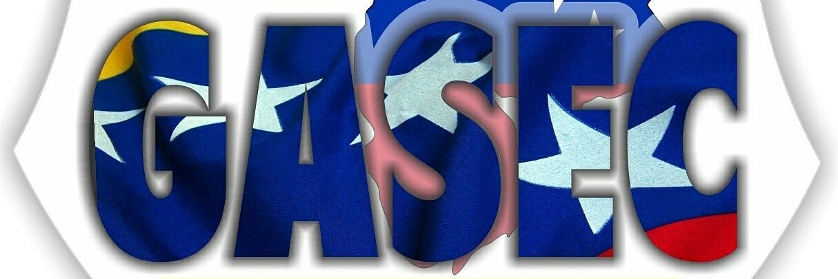 GASEC171ANZ's profile banner image