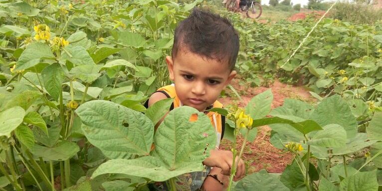 chenaramkhoja's profile banner image