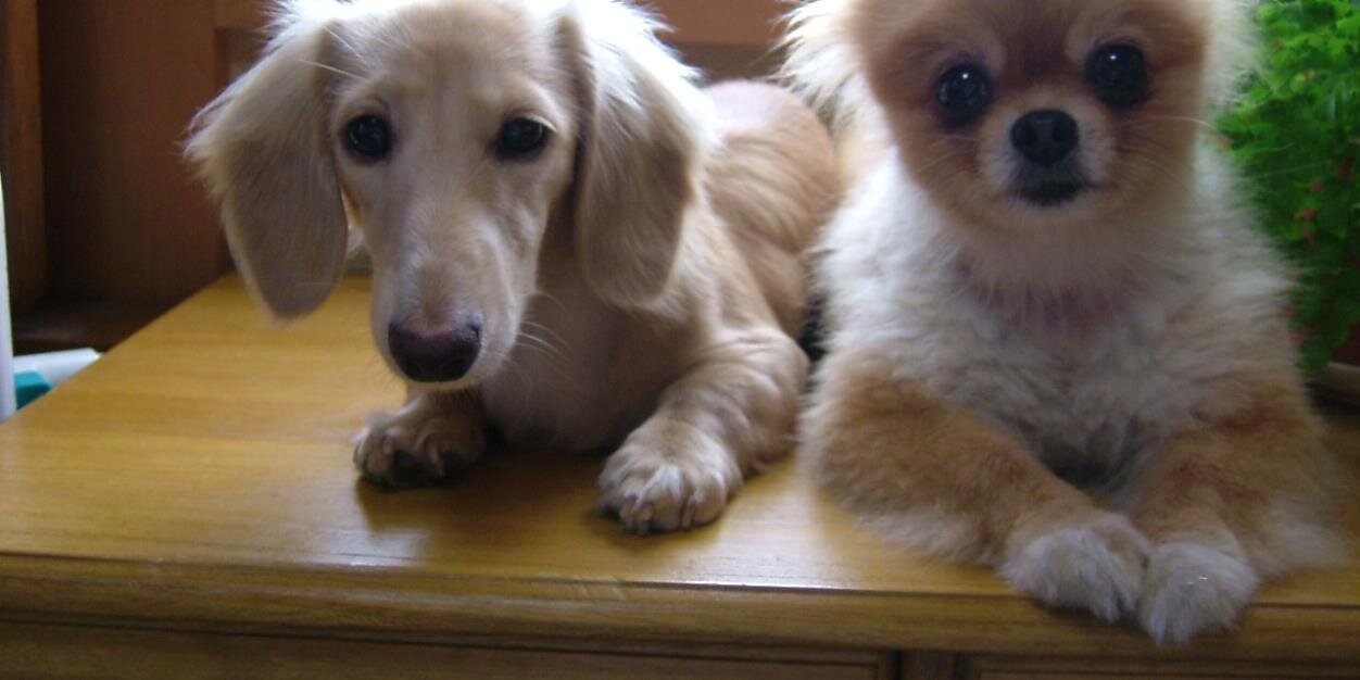 もう1度、1から banner