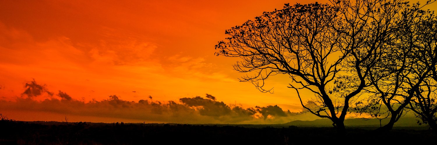 hampaw's profile banner image