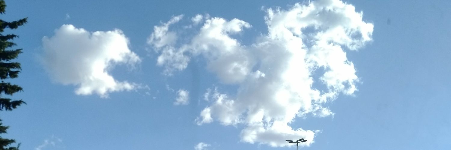 crowjules's profile banner image