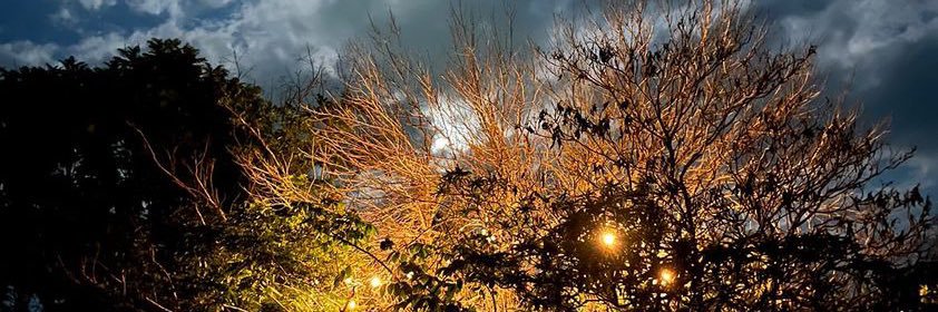 joonathanmatta's profile banner image