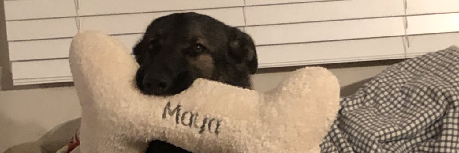 SchmidtDrew's profile banner image
