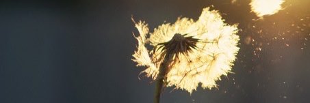 marynesgranado's profile banner image