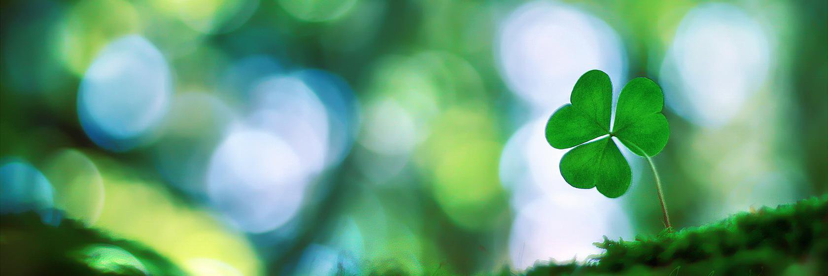 Sandra_lur's profile banner image