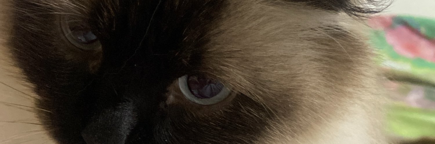 Mikorr22's profile banner image