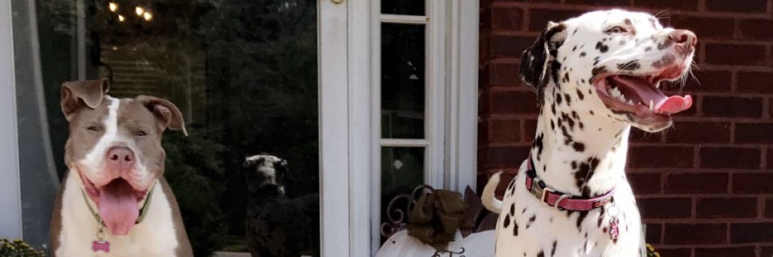tylerherron14's profile banner image