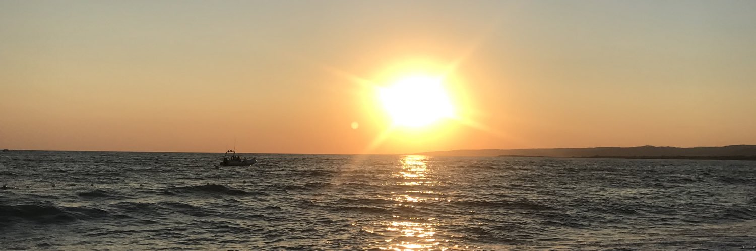 letytzn's profile banner image