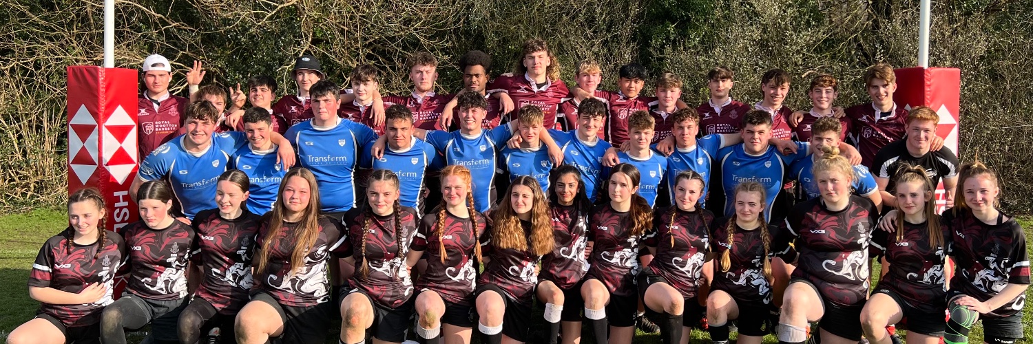 MadDog Rugby banner