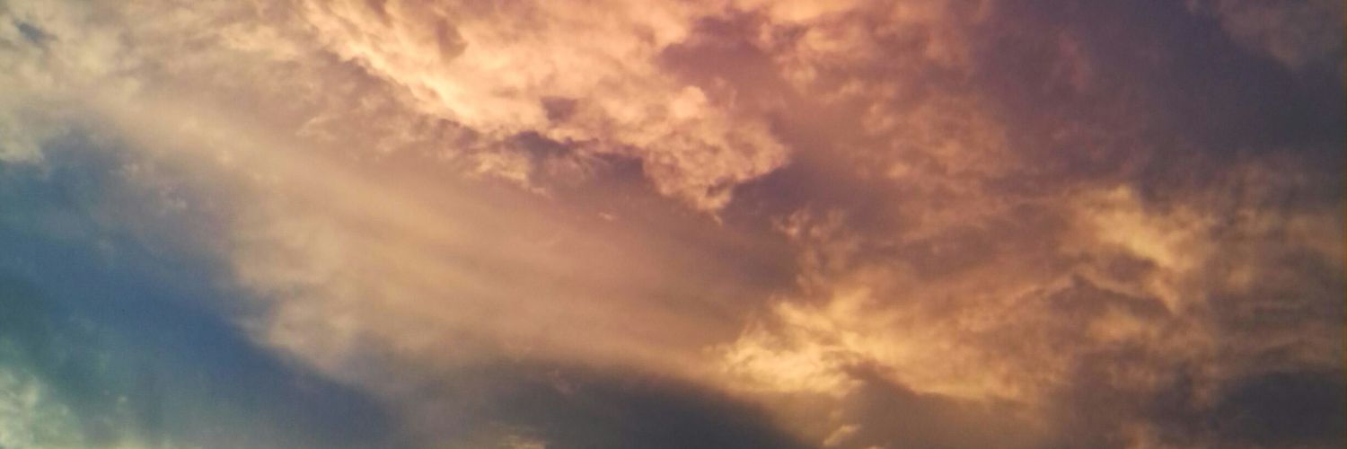 misspinkaa's profile banner image