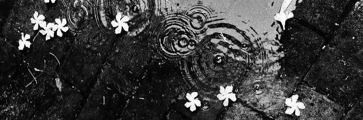 Bewitched93's profile banner image