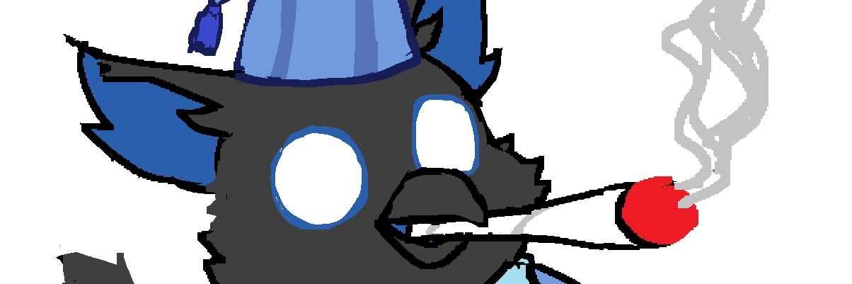 TurboFox24's profile banner image