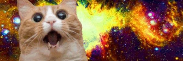 LouD_Wich's profile banner image