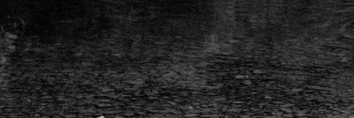 leejuyeou's profile banner image