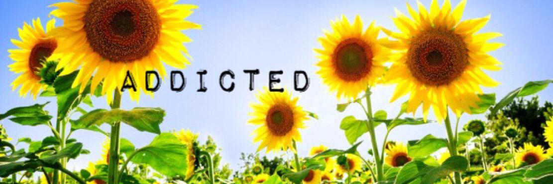 kattekade's profile banner image