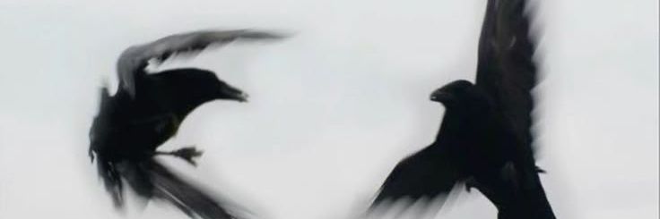 UK banner