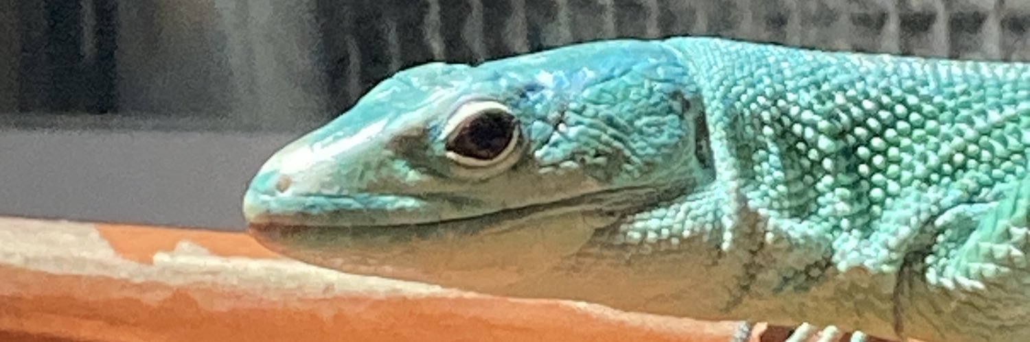 _OwO_vv's profile banner image